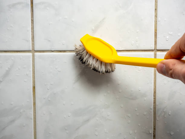 Best Mold Remediation for Schools in Glade Spring, VA