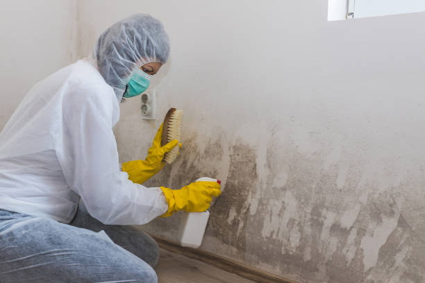 Best Residential Mold Remediation in Glade Spring, VA