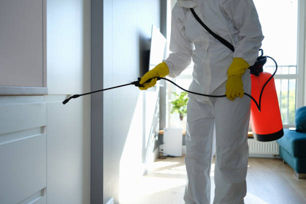 Best Crawl Space Mold Remediation in Glade Spring, VA
