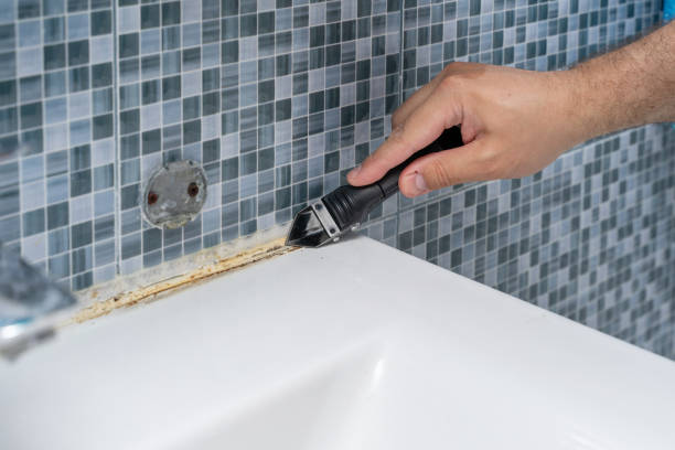 Best Insurance-Related Mold Remediation in Glade Spring, VA