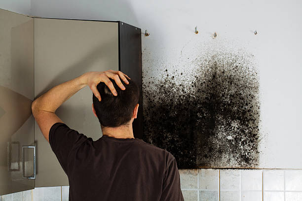 Best Post-Remediation Services in Glade Spring, VA